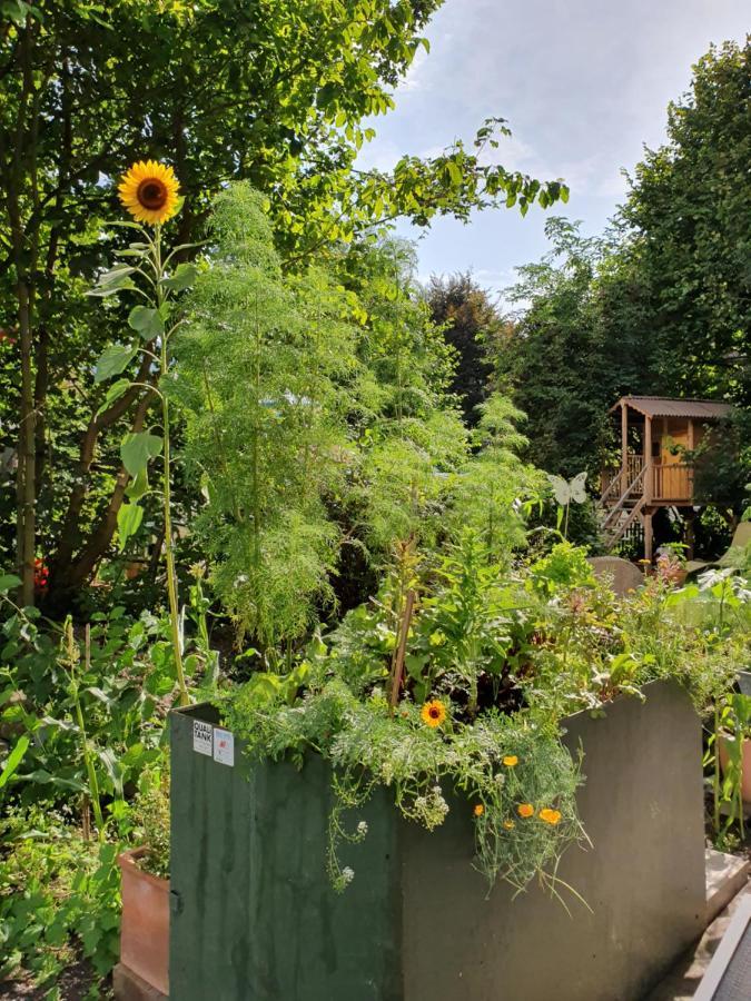 אינטרלאקן Zentral Gelegene Wohnung Mit Grossem Garten מראה חיצוני תמונה